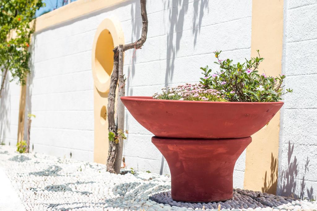 Apartmán Mosaic Gardens Faliraki Exteriér fotografie